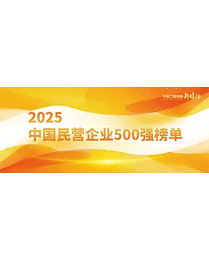 荣誉10